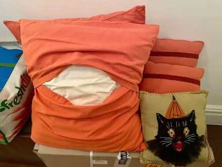 Photo of free Couch Pillows (Upper West Side) #2