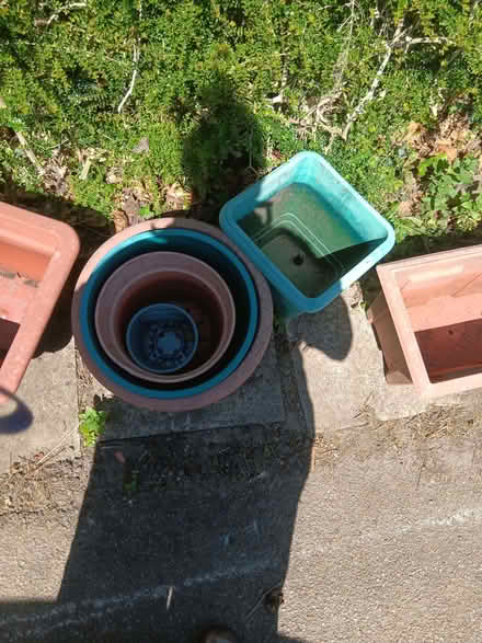 Photo of free Plastic plant pots, watering can. Knaresborough (Knaresborough HG5) #4