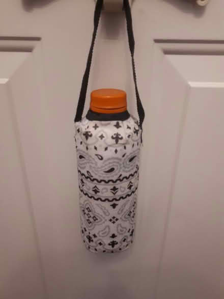Photo of free Insulated bottle carrier (Richmond Hill) #1