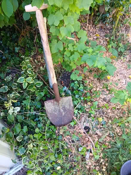 Photo of free Old spade (Knaresborough HG5) #1
