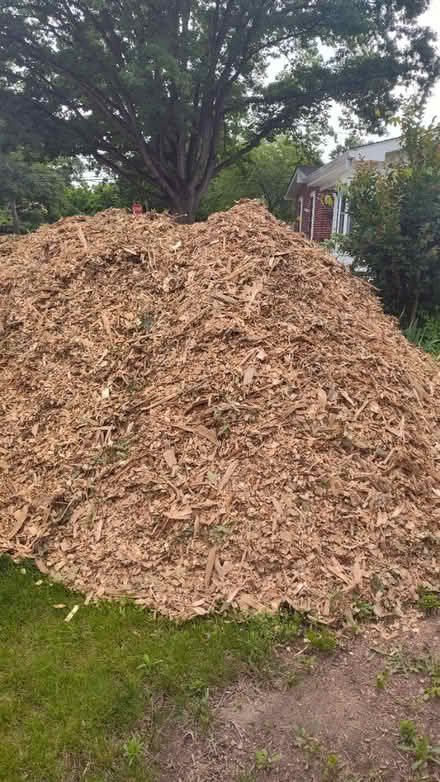 Photo of free wood chips outside (Glen Burnie) #1