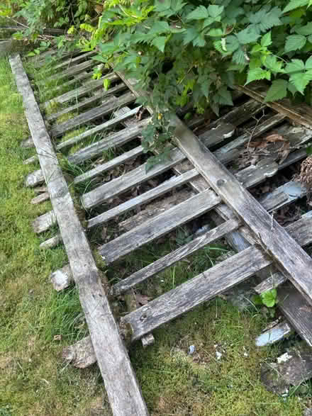 Photo of free Vintage Wood Picket Fence (Woodinville) #1