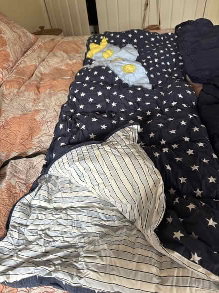 Photo of free Sleeping bags up for grabs (Prospect Heights) #2