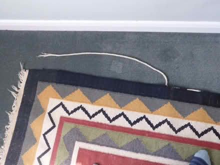 Photo of free Large Rug (Coleshill B46) #1