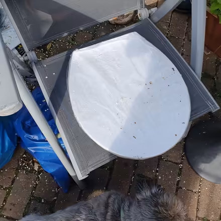 Photo of free Plastic toilet lid still wrapped (BR6) #2