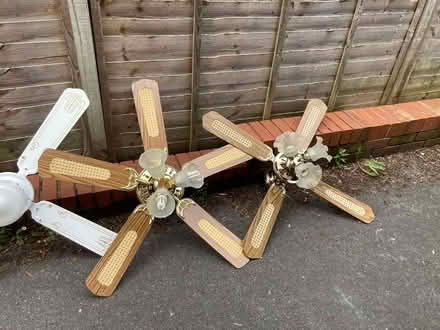 Photo of free ceiling lights and fan lights (Trowbridge BA14) #2