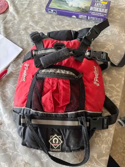 Photo of free Dog life jacket (Chalford hill) #1