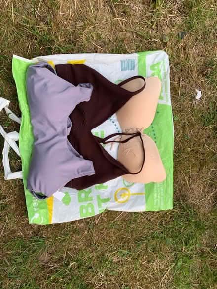 Photo of free Bras and tops (AL2 / SG6) #2