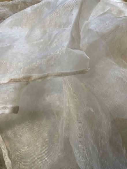 Photo of free Two cicada netting bags (Downers Grove - north) #2