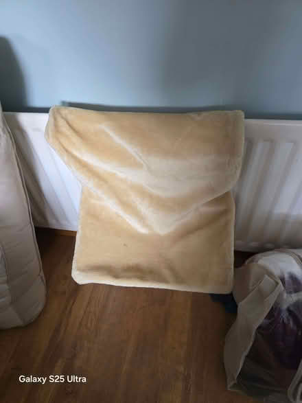 Photo of free Radiator cat bed (Brasside DH1) #1