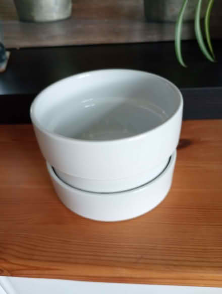 Photo of free Plant pot. (Temple Cowley OX4) #1