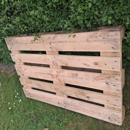 Photo of free Clean Pallet (Wickford SS12) #1