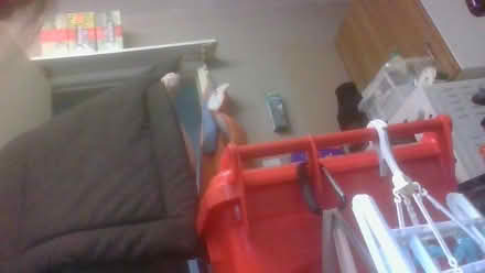 Photo of free cage or pet bed (BA2) #4