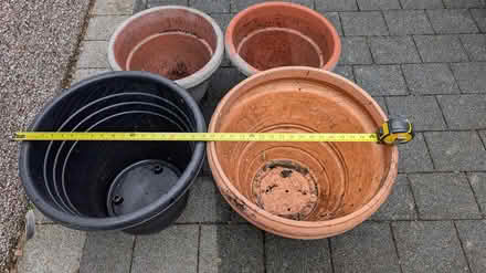 Photo of free plastic garden plant pots (Bare) #2