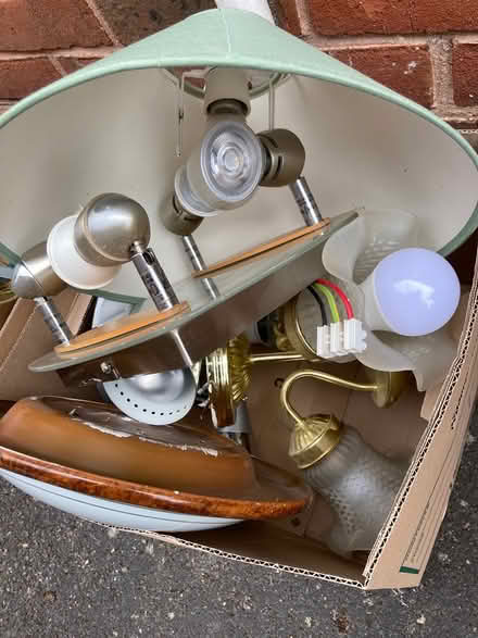 Photo of free ceiling lights and fan lights (Trowbridge BA14) #3