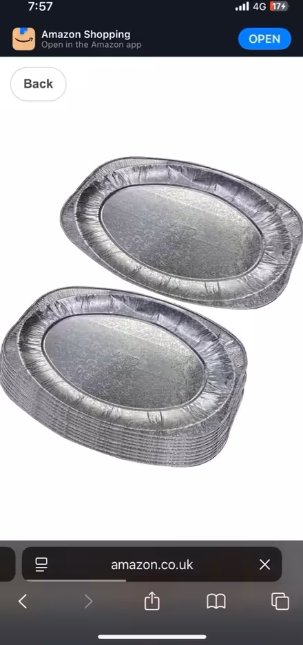 Photo of Disposable silver trays (RG4) #1