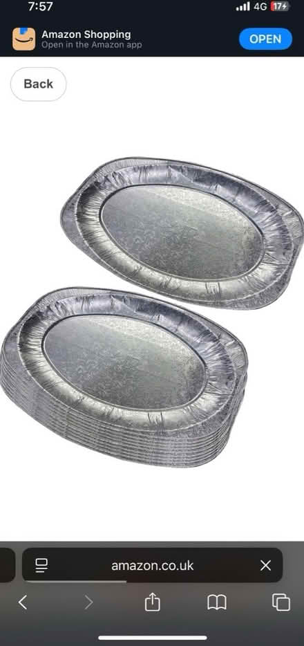 Photo of Disposable silver trays (RG4) #1