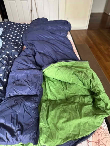 Photo of free Sleeping bags up for grabs (Prospect Heights) #1