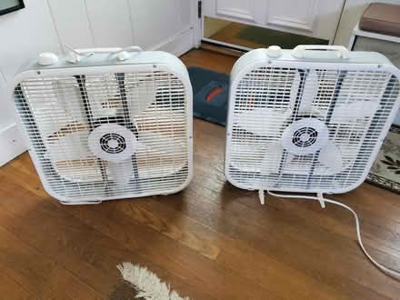 Photo of free Two box fans (Ravenna) #1