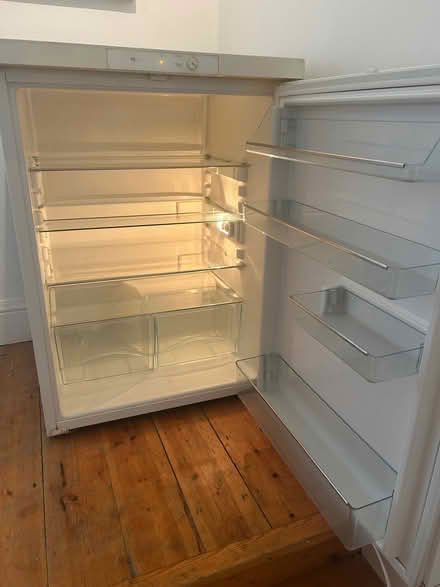 Photo of free Fridge (Honor Oak SE23) #1