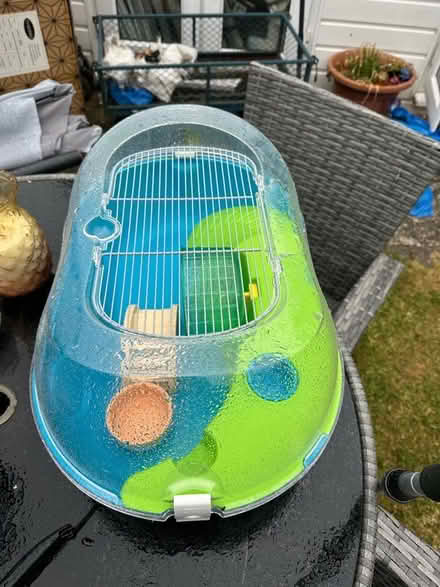 Photo of free Mouse/minature hamster cage. (Monkwick CO2) #1
