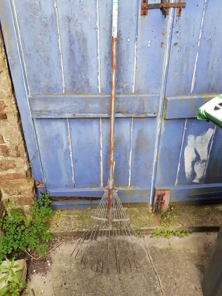 Photo of free Spring tined garden rake (Eastbourne BN21) #1