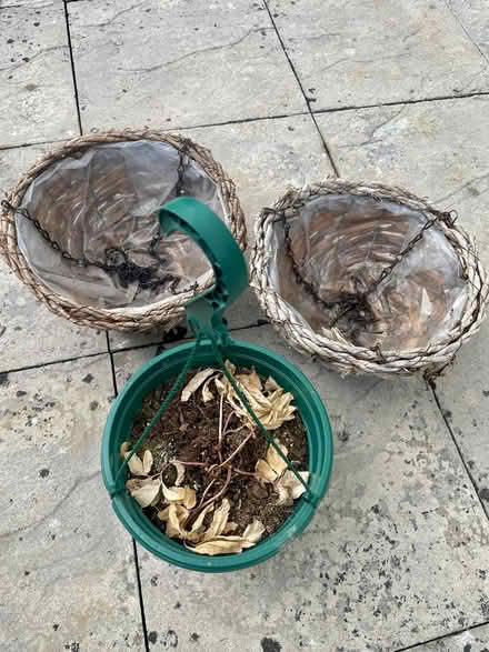 Photo of free Hanging planters (Great Maplestead CO9) #1