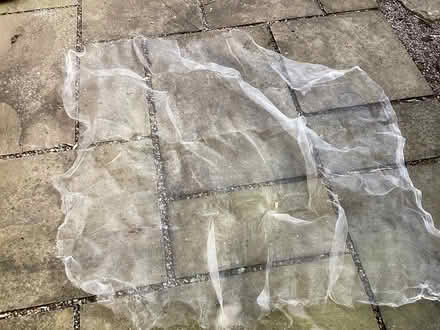 Photo of free Fine nylon mesh for fruit protection (Swainshill HR4) #2