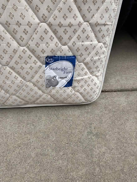 Photo of free Twin size Serta Mattress (West Fort Collins) #1