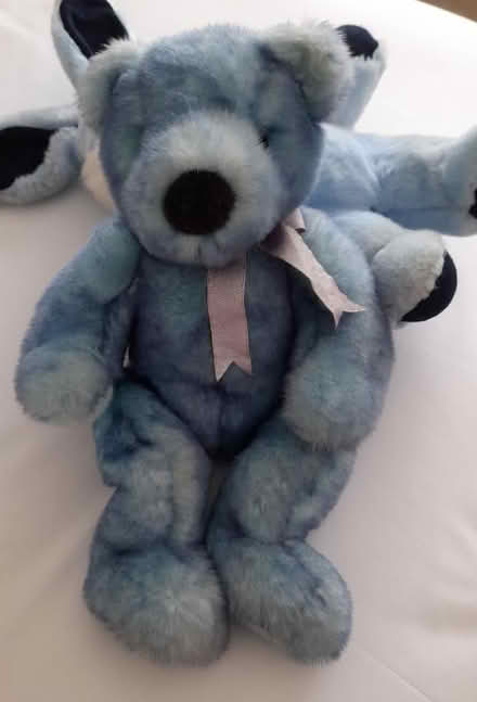Photo of free Ty Bear (Shirley CR0) #1