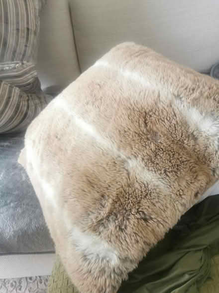 Photo of free Cushions (Idle BD10) #3