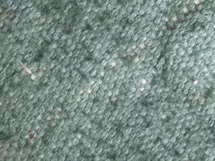 Photo of free Green Rug (Coleshill B46) #1