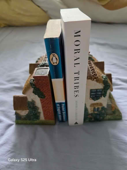 Photo of free Bookend pair (Brasside DH1) #1