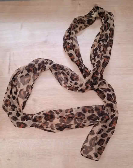 Photo of free Leopard print chiffon scarf (Boughton Monchelsea ME17) #1