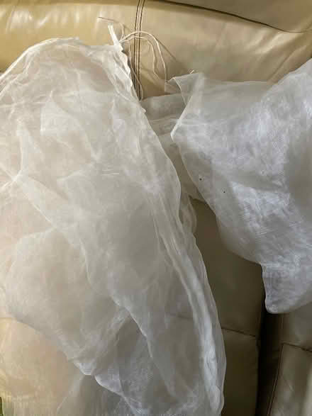 Photo of free Two cicada netting bags (Downers Grove - north) #1