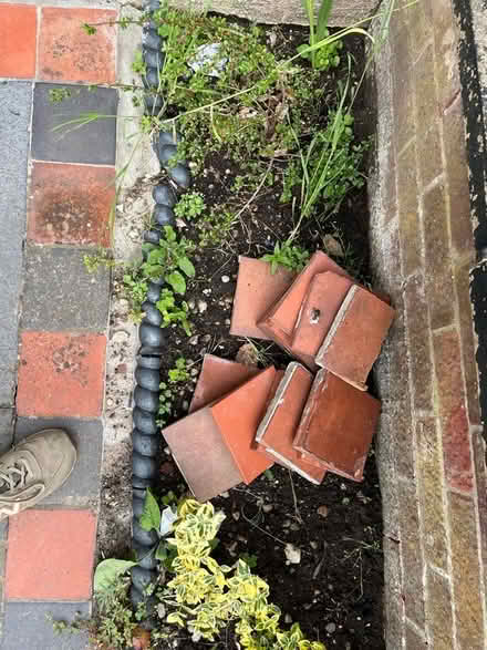 Photo of free Square tiles (Golden Triangle NR2) #2