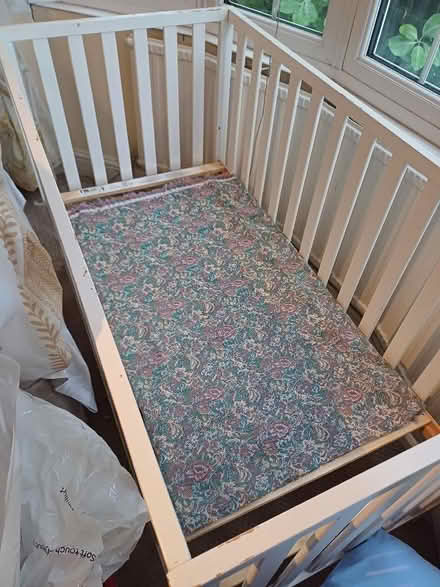 Photo of free Cot (Summertown OX2) #1