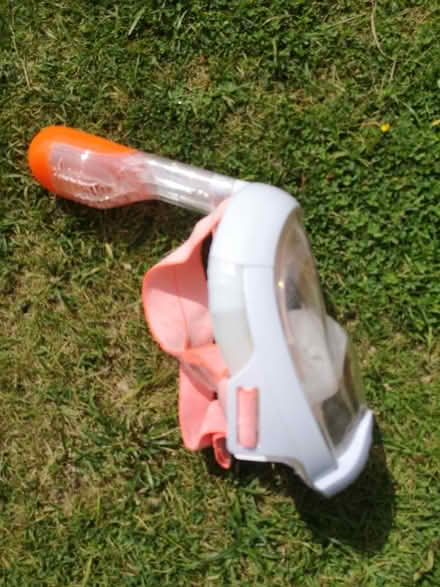 Photo of free Snorkel face mask XS (Fareham PO15) #3