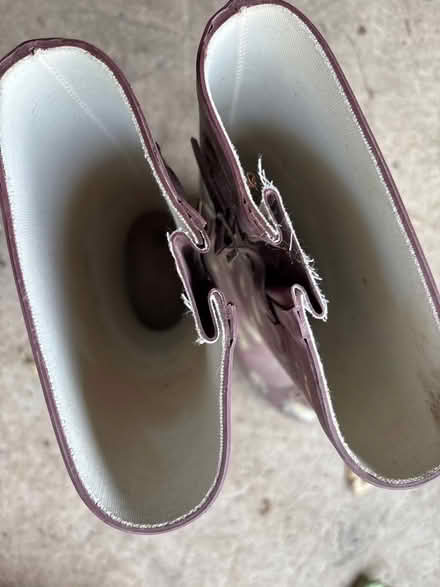 Photo of free Wellies size 5 adult (Colwall WR13) #2