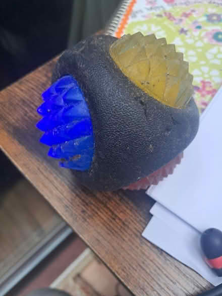 Photo of free Dog toy (Weybridge KT13) #1