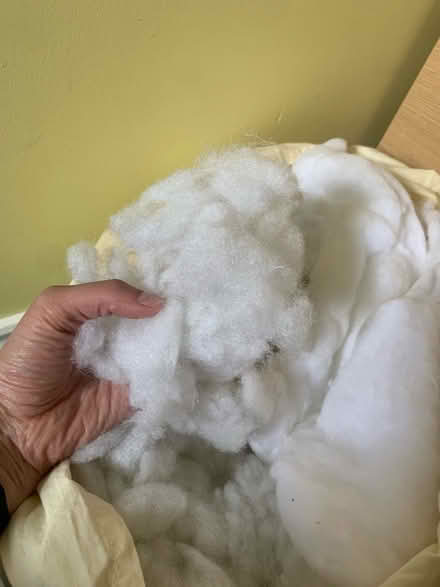 Photo of free Filling material for cushions (Garston L19) #3