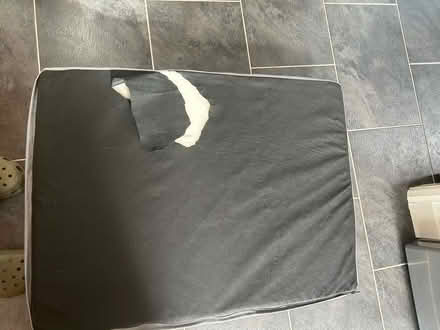 Photo of free Dog bed (Holbrook, Belper, DE56) #3