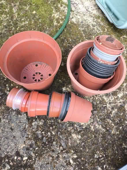 Photo of free Plastic flower pots (Chesham. HP5) #1