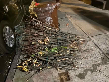 Photo of free CURB ALERT - furniture, house misc (Upper West Side 10023) #3
