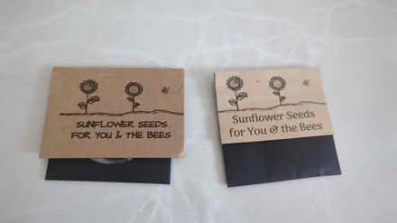 Photo of free Sunflower seeds left over (Stalybridge, SK15) #1