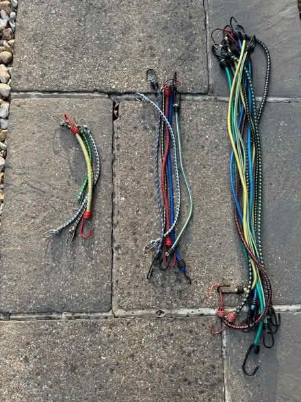 Photo of free Various bungee cords (Yapton BN18) #1