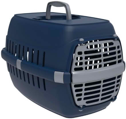 Photo of Pet carrier for two guinea pigs (TN34) #1