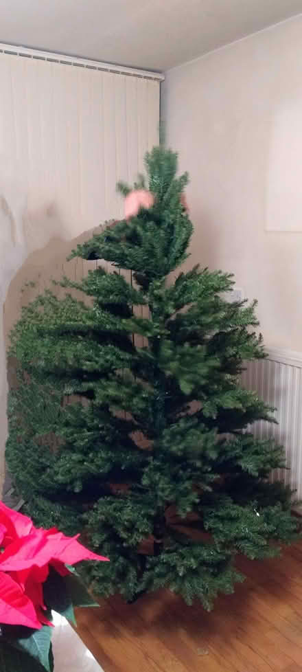 Photo of free Christmas tree and decorations (Arboretum, NG1) #2