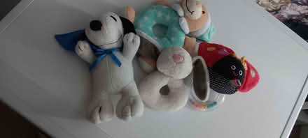 Photo of free Baby Soft Toys (Rakegate Estate WV10) #1