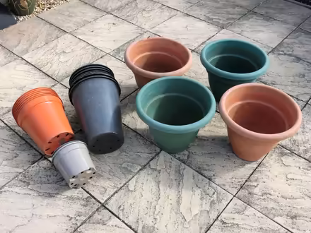 Photo of free Large Pots (North Ascot SL5) #1